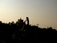 Florida - Tampa - Busch Gardens - View